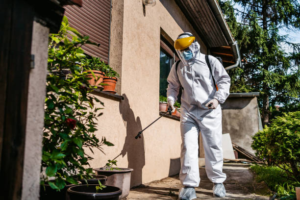 Flea Control Services in Mcminnville, OR