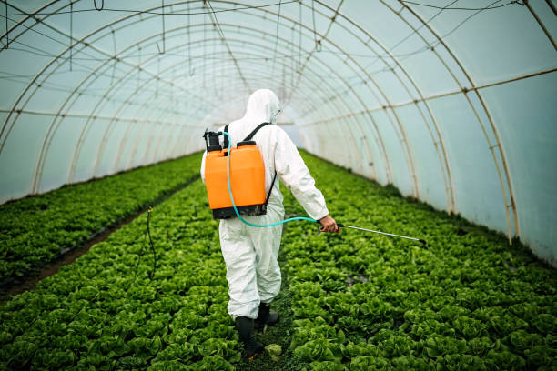 Pest Control for Restaurants in Mcminnville, OR