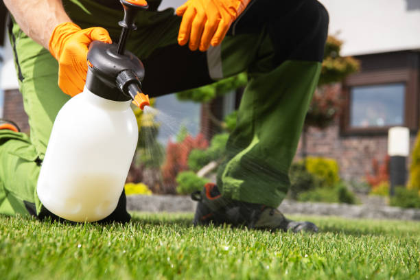 Best Flea Control Services  in Mcminnville, OR