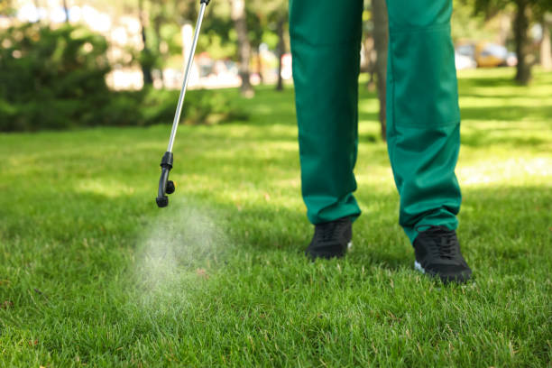 Best Insect Control  in Mcminnville, OR