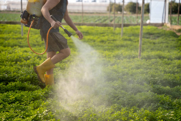 Best Mosquito Control Services  in Mcminnville, OR