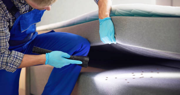 Best Flea Control Services  in Mcminnville, OR