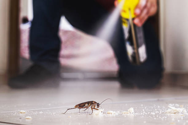 Best Exterminator Services  in Mcminnville, OR
