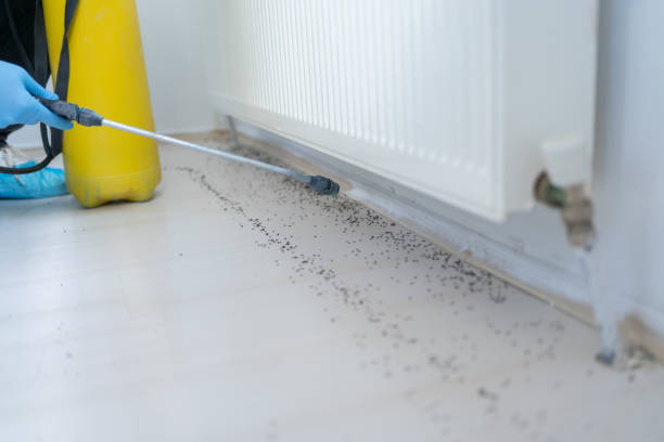 Best Termite Control Services  in Mcminnville, OR