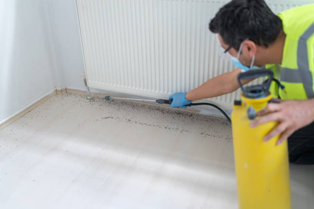 Best Best Pest Control Companies  in Mcminnville, OR