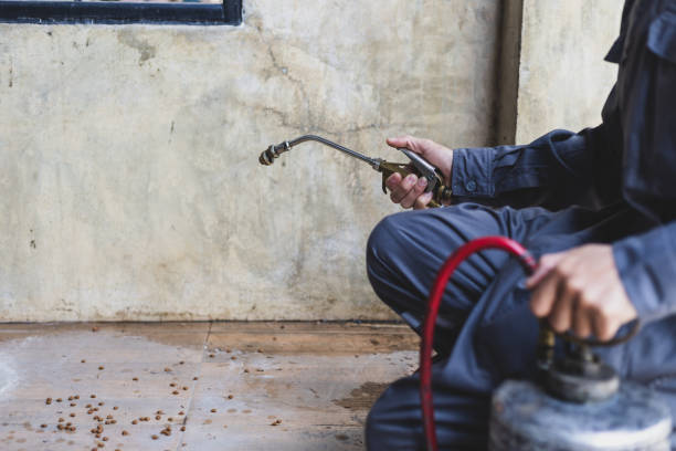 Best Rat Extermination Near Me  in Mcminnville, OR