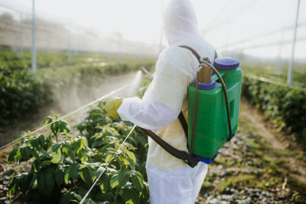 Professional Pest Control in Mcminnville, OR